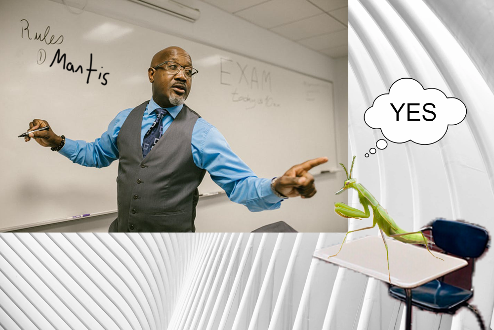 Mantis Meme